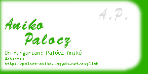 aniko palocz business card